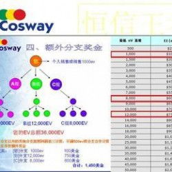 太陽(yáng)線直銷軟件專業(yè)定制開(kāi)發(fā)全解析 從廠家選擇到價(jià)格評(píng)估